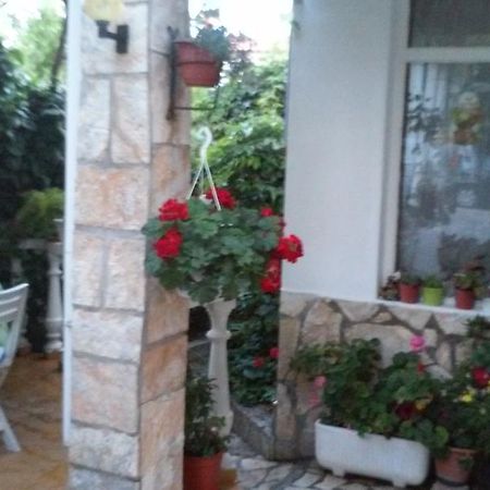 Apartment Gabric Palit Room photo